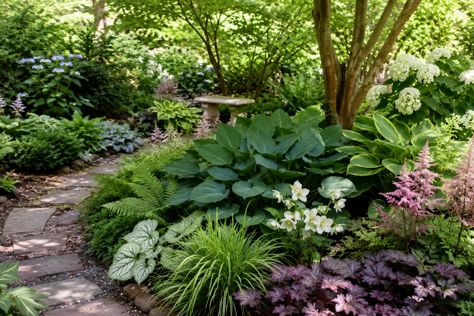 12 Beautiful Plants for Shade Gardens